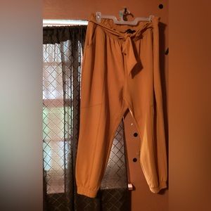 Fashion joggers (Ashley Stewart)